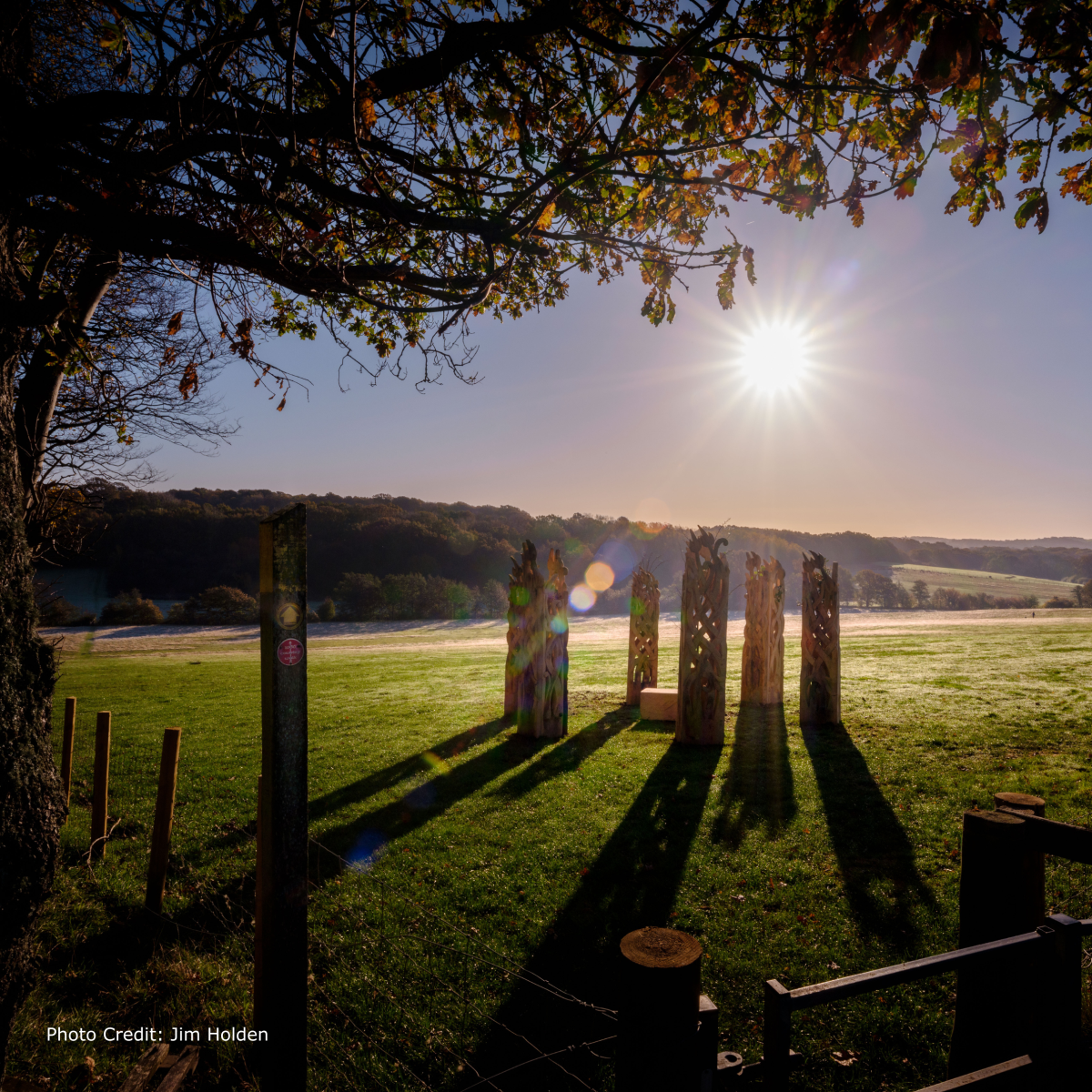 Wooden sculptures on the 1066 Country sculpture trail stand in an open field, casting long shadows under a bright sun.